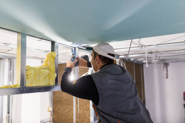 Best Professional Insulation Contractor  in Cornell, WI