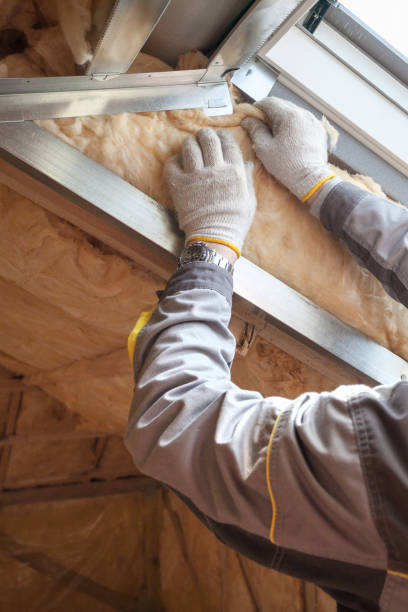 Best Attic Insulation Installation  in Cornell, WI