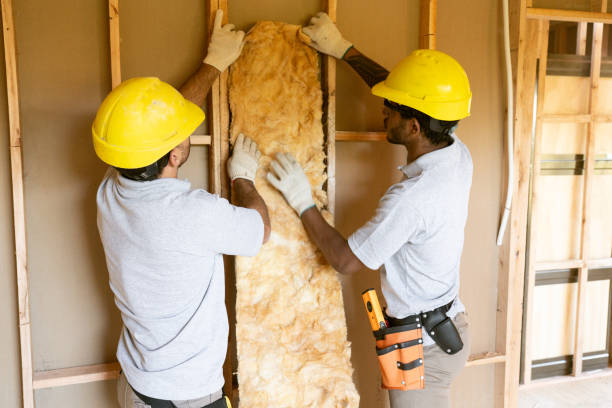 Best Local Insulation Services  in Cornell, WI