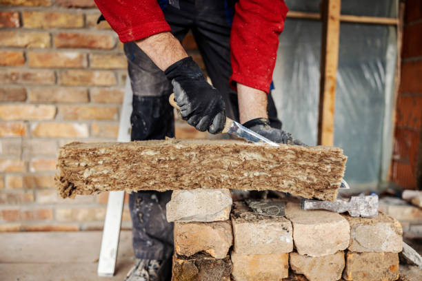 Best Insulation Contractor Near Me  in Cornell, WI