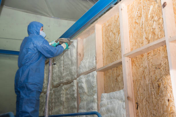 Best Spray Foam Insulation  in Cornell, WI